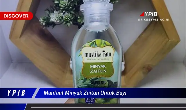 manfaat minyak zaitun untuk bayi