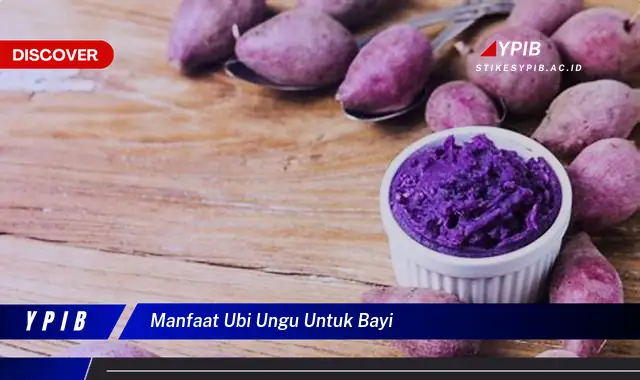 manfaat ubi ungu untuk bayi