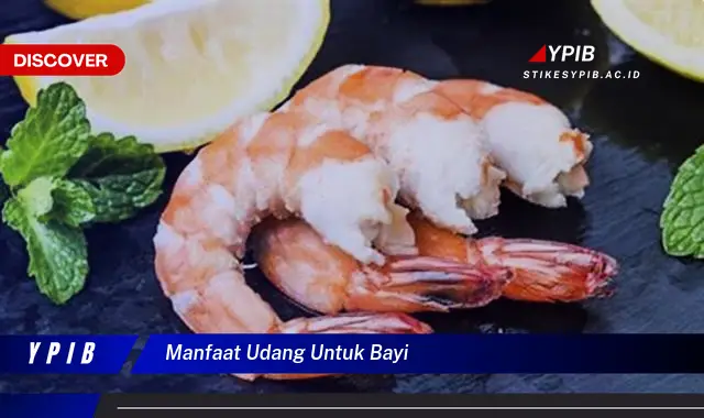 manfaat udang untuk bayi