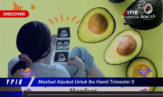 manfaat alpukat untuk ibu hamil trimester 3