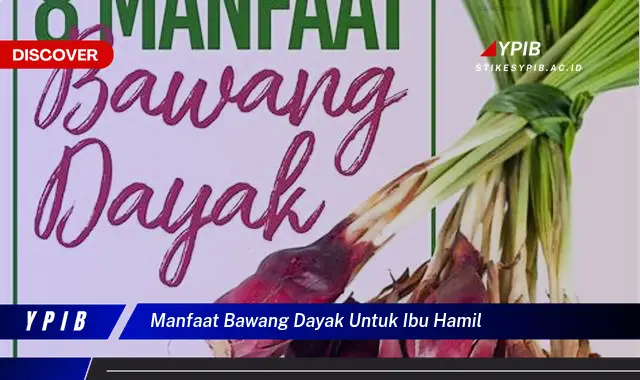 manfaat bawang dayak untuk ibu hamil