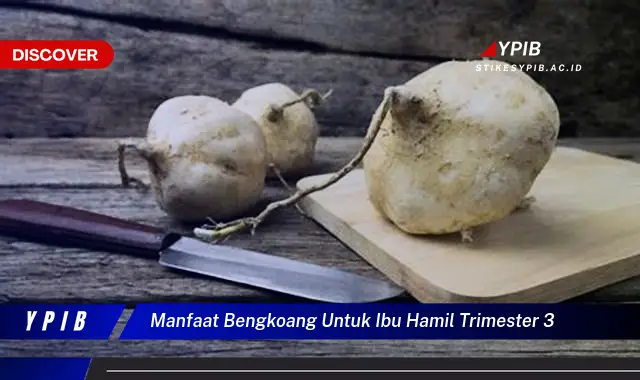 manfaat bengkoang untuk ibu hamil trimester 3