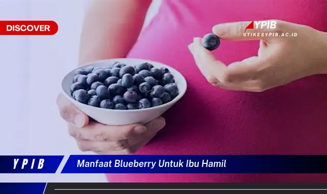 manfaat blueberry untuk ibu hamil