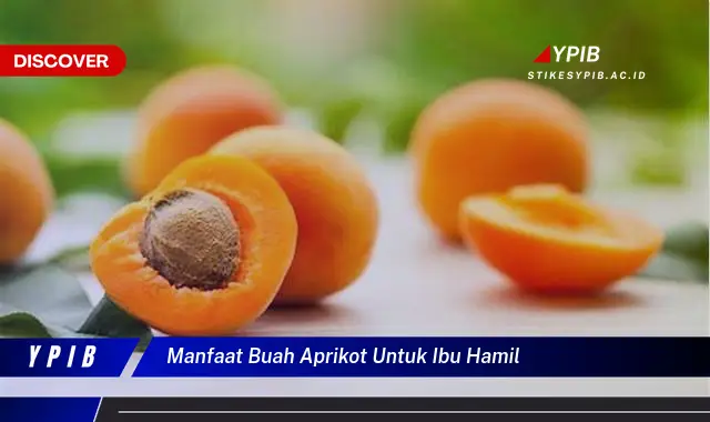 manfaat buah aprikot untuk ibu hamil