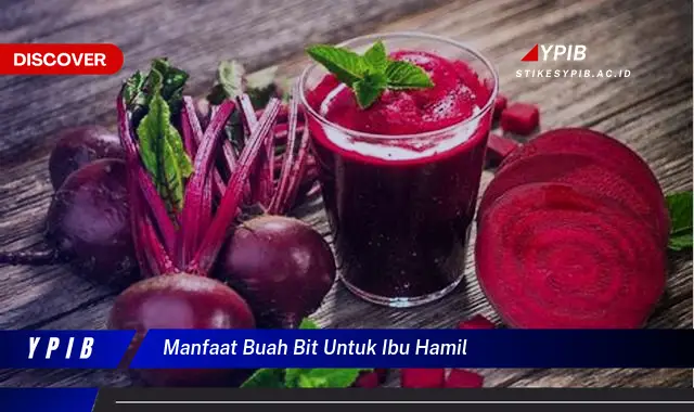 manfaat buah bit untuk ibu hamil