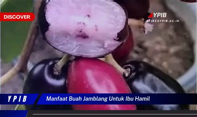 manfaat buah jamblang untuk ibu hamil