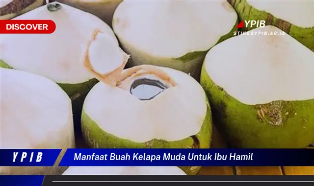 manfaat buah kelapa muda untuk ibu hamil