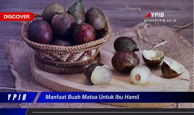 manfaat buah matoa untuk ibu hamil