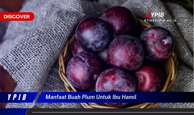 manfaat buah plum untuk ibu hamil