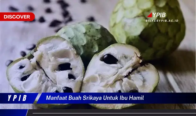 manfaat buah srikaya untuk ibu hamil