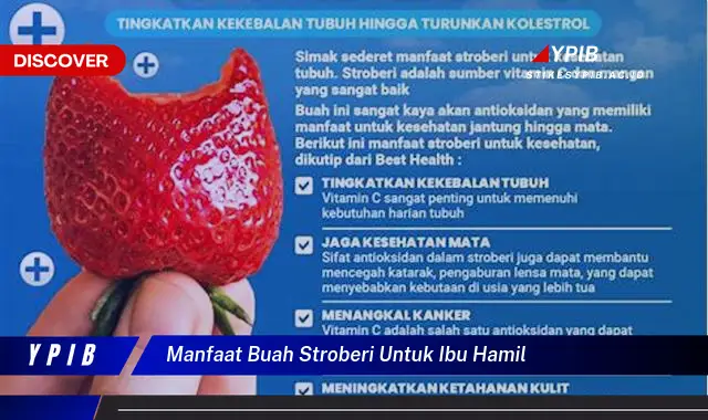 Temukan 7 Manfaat Stroberi untuk Ibu Hamil yang Jarang Diketahui