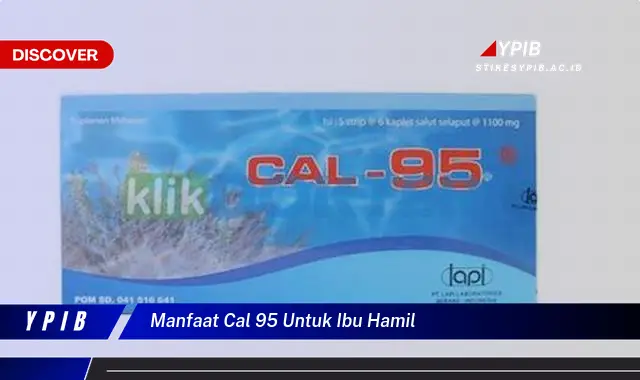 manfaat cal 95 untuk ibu hamil