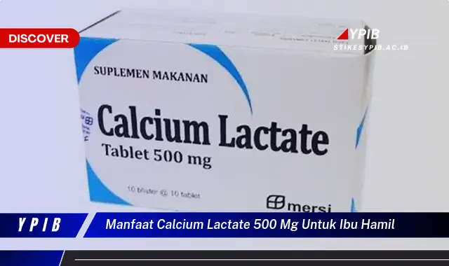 manfaat calcium lactate 500 mg untuk ibu hamil