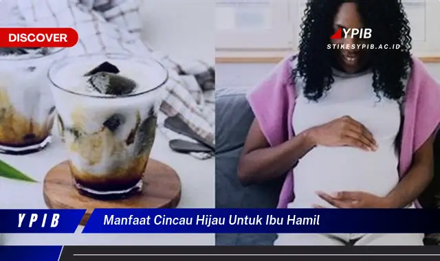 manfaat cincau hijau untuk ibu hamil