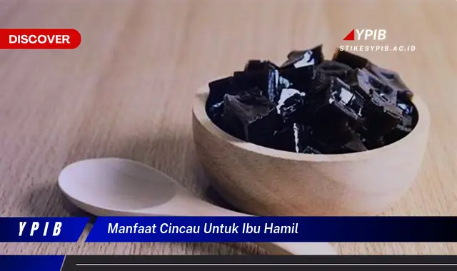 manfaat cincau untuk ibu hamil