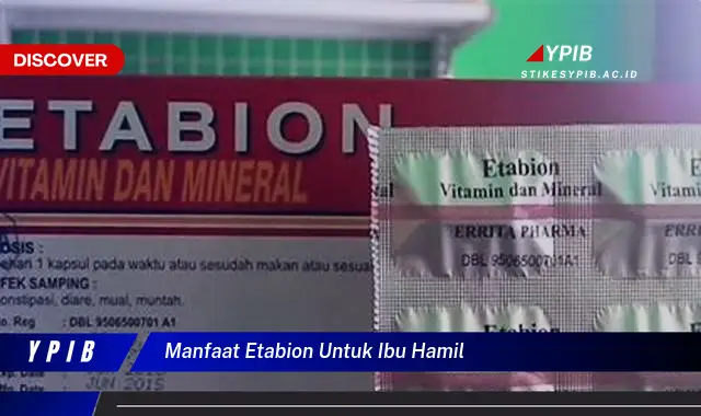 manfaat etabion untuk ibu hamil