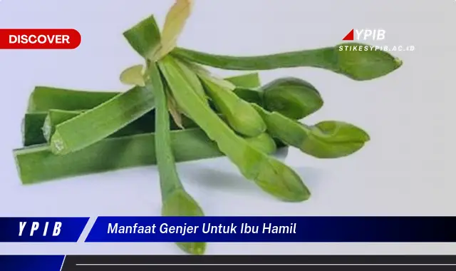 manfaat genjer untuk ibu hamil