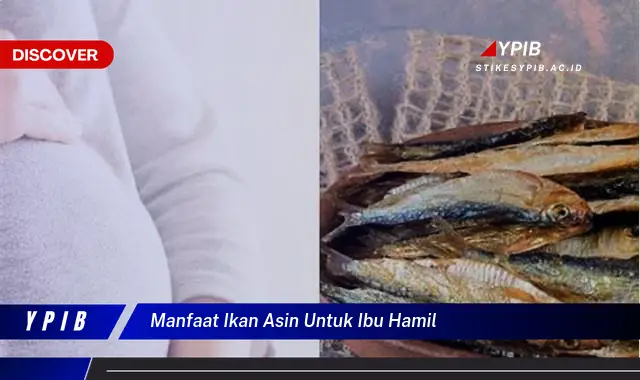 manfaat ikan asin untuk ibu hamil