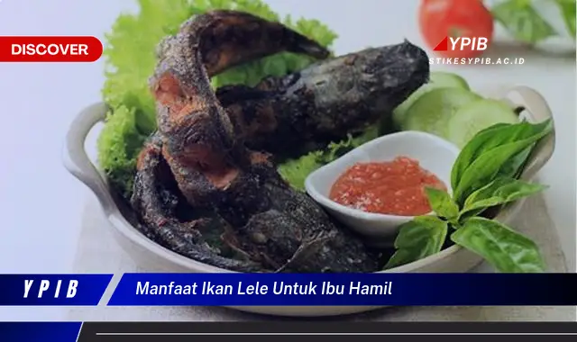 manfaat ikan lele untuk ibu hamil