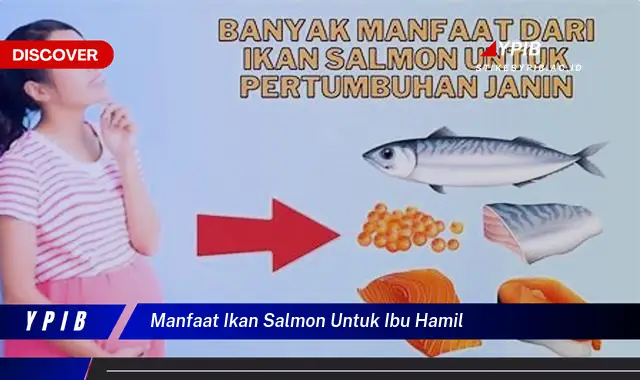 manfaat ikan salmon untuk ibu hamil