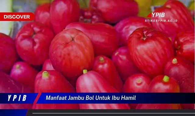 manfaat jambu bol untuk ibu hamil