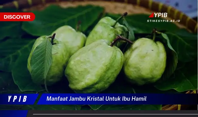 manfaat jambu kristal untuk ibu hamil