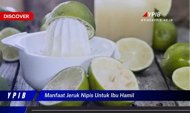 manfaat jeruk nipis untuk ibu hamil