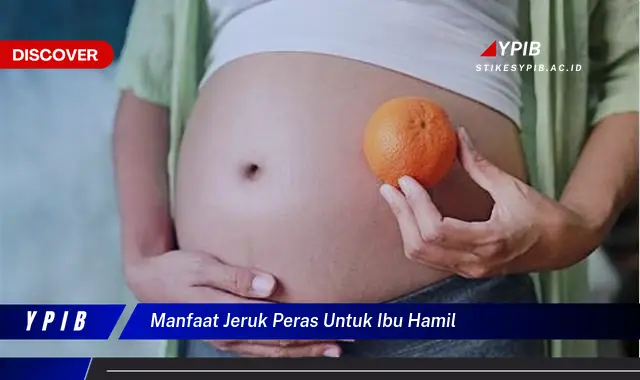 manfaat jeruk peras untuk ibu hamil