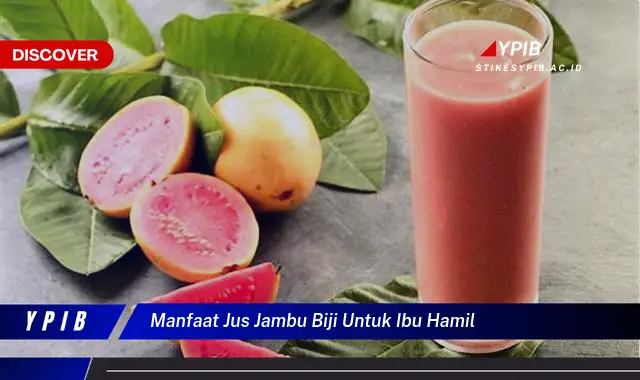 manfaat jus jambu biji untuk ibu hamil