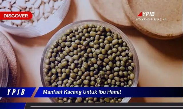 manfaat kacang untuk ibu hamil