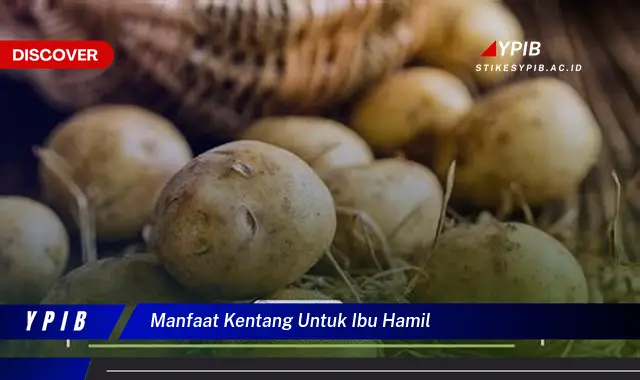 manfaat kentang untuk ibu hamil