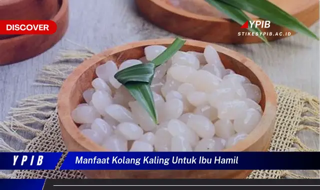manfaat kolang kaling untuk ibu hamil