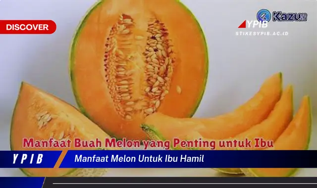 manfaat melon untuk ibu hamil