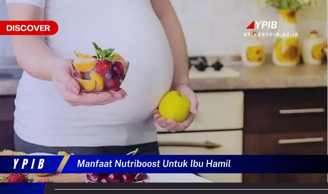 manfaat nutriboost untuk ibu hamil