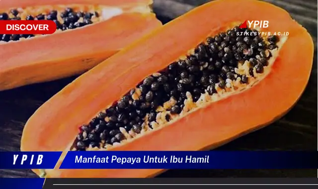 manfaat pepaya untuk ibu hamil