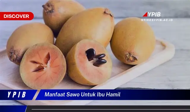 manfaat sawo untuk ibu hamil