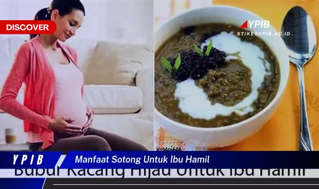 manfaat sotong untuk ibu hamil