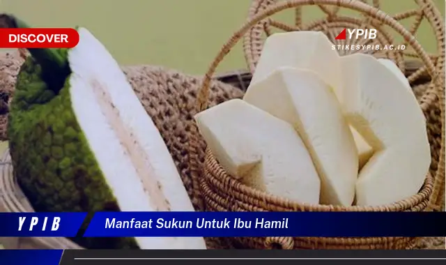 manfaat sukun untuk ibu hamil