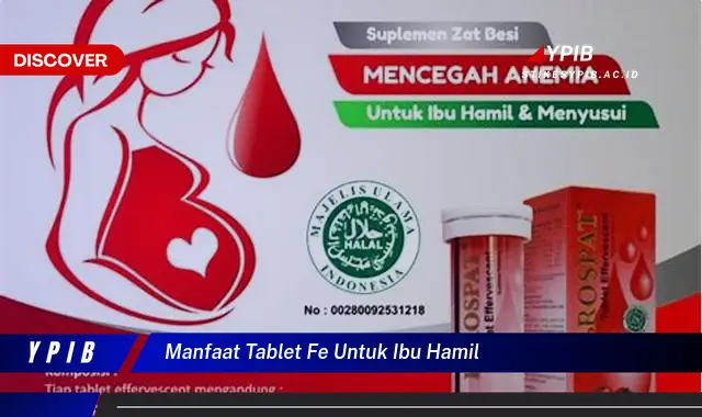 manfaat tablet fe untuk ibu hamil