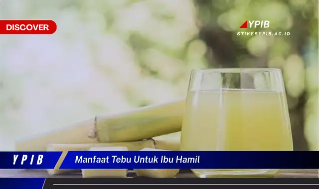 manfaat tebu untuk ibu hamil