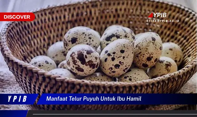 manfaat telur puyuh untuk ibu hamil