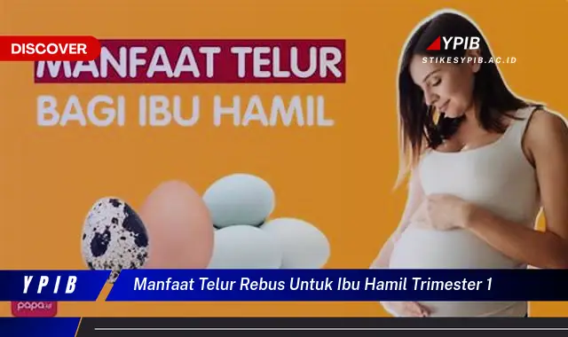 manfaat telur rebus untuk ibu hamil trimester 1