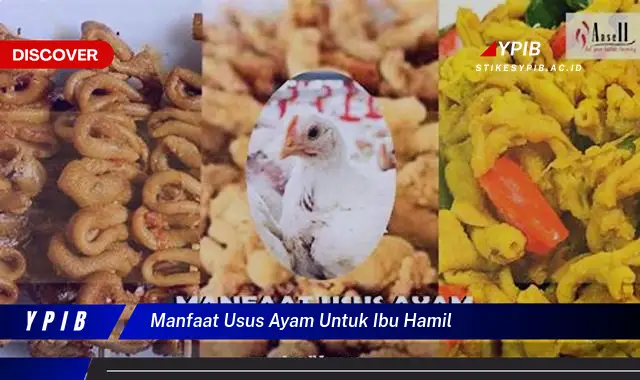 manfaat usus ayam untuk ibu hamil