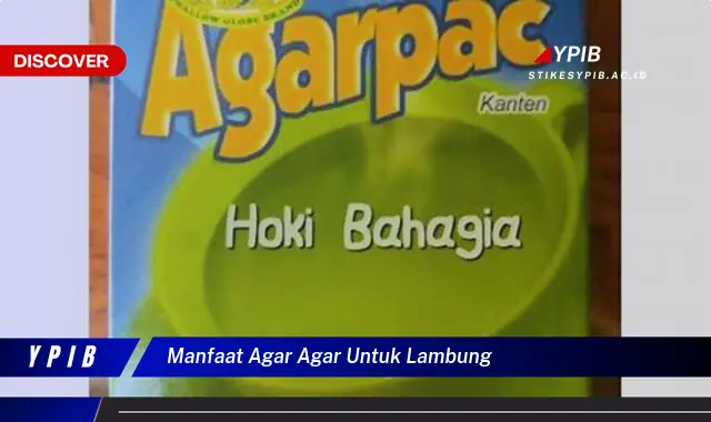 manfaat agar agar untuk lambung manfaat agar agar untuk lambung