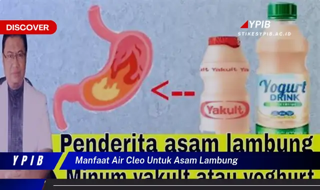 manfaat air cleo untuk asam lambung