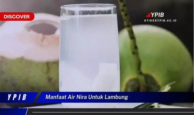 manfaat air nira untuk lambung