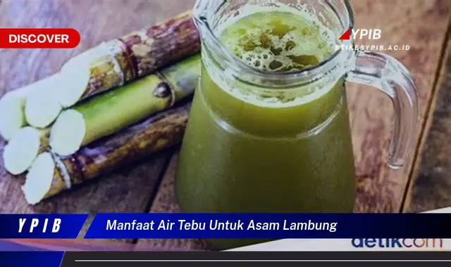 manfaat air tebu untuk asam lambung