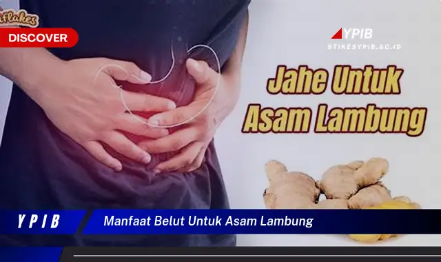 manfaat belut untuk asam lambung