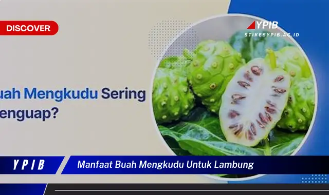 manfaat buah mengkudu untuk lambung