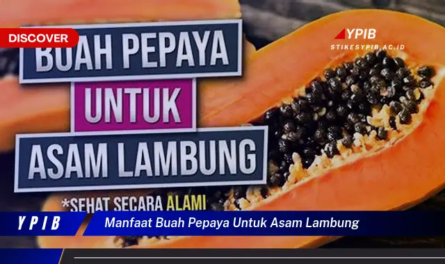 manfaat buah pepaya untuk asam lambung